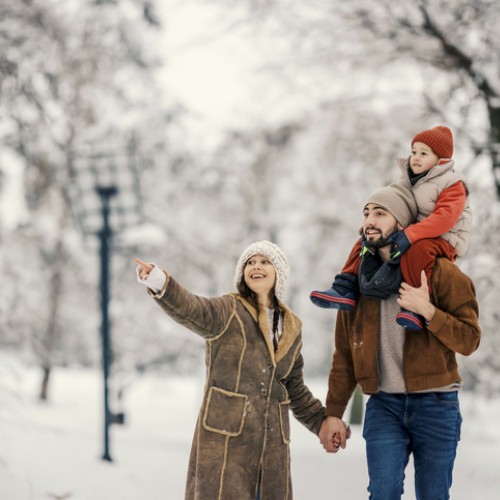 A family enjoys a snowy walk in the park, with a woman pointing at something in the sky, while a man carries a child on his shoulders.