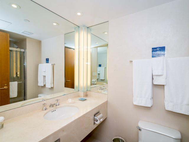 Picture shows bathroom inside Croton Hall accommodations with a large sink, large mirror, towels, a toilet, a glass shower area in the reflection of the mirror.