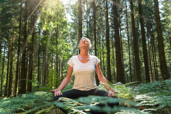 A person is meditating in a forest, sitting cross-legged on green foliage, with sunlight filtering through the trees.
