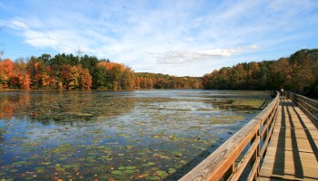 A wooden boardwalk runs alongside a lake with lily pads, surrounded by autumn trees under a blue sky with clouds.