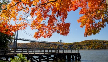 A scenic view of a bridge over a river framed by vibrant autumn leaves in orange and red hues under a clear blue sky.