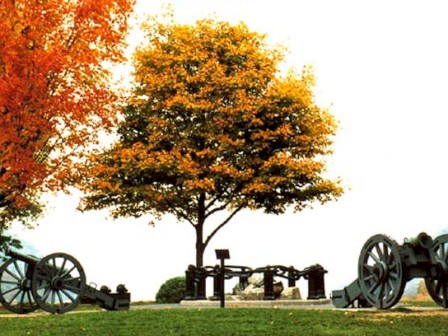 The image shows autumn trees with vibrant orange and yellow leaves, flanked by historical cannons on a grassy area.