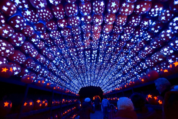 A tunnel decorated with numerous illuminated pumpkins featuring star cutouts, creating a vibrant, starry effect above the people walking through.