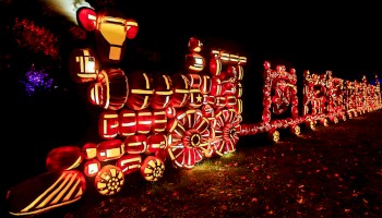 A train made of illuminated pumpkins is displayed at night, glowing brightly in artistic arrangements.