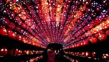 A tunnel illuminated with numerous carved pumpkins featuring star designs, creating a vibrant and magical atmosphere.