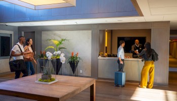 People are checking into a modern hotel lobby with luggage and plants, engaging at the reception desk.