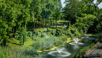 A scenic view of a lush green park with a pond featuring three water fountains, surrounded by trees and greenery under a clear blue sky.