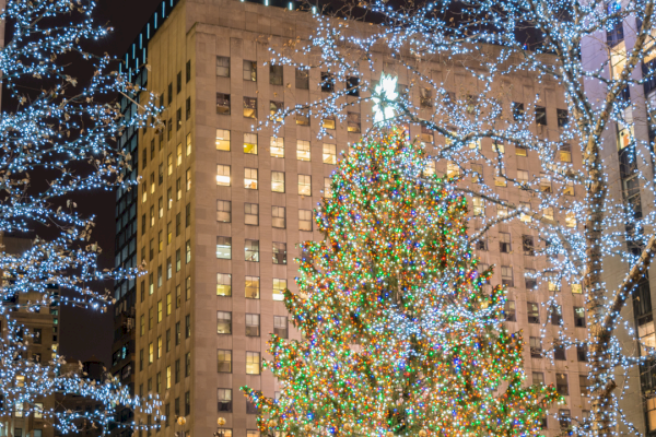 A brightly lit Christmas tree in a cityscape with decorated trees and a building in the background, creating a festive atmosphere.