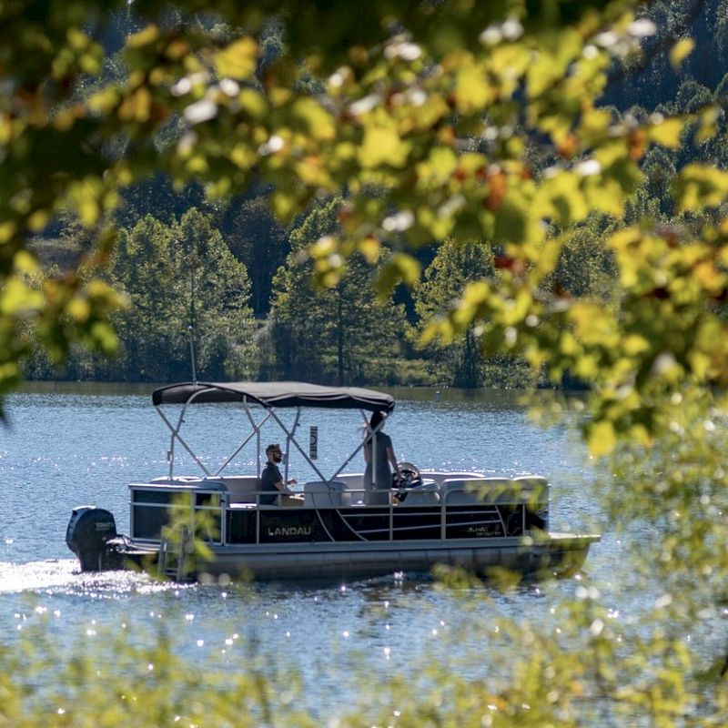 A boat is cruising on a calm lake, framed by green foliage, with trees and hills in the background. The peaceful scene exudes a serene ambiance.
