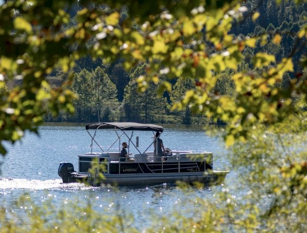 A boat is moving on a lake, framed by tree branches with green leaves in the foreground and a forested backdrop.