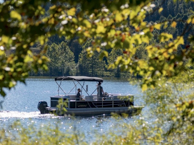 A pontoon boat glides on a peaceful lake, framed by green foliage, under a clear sky with a backdrop of lush trees and gentle sunlight.