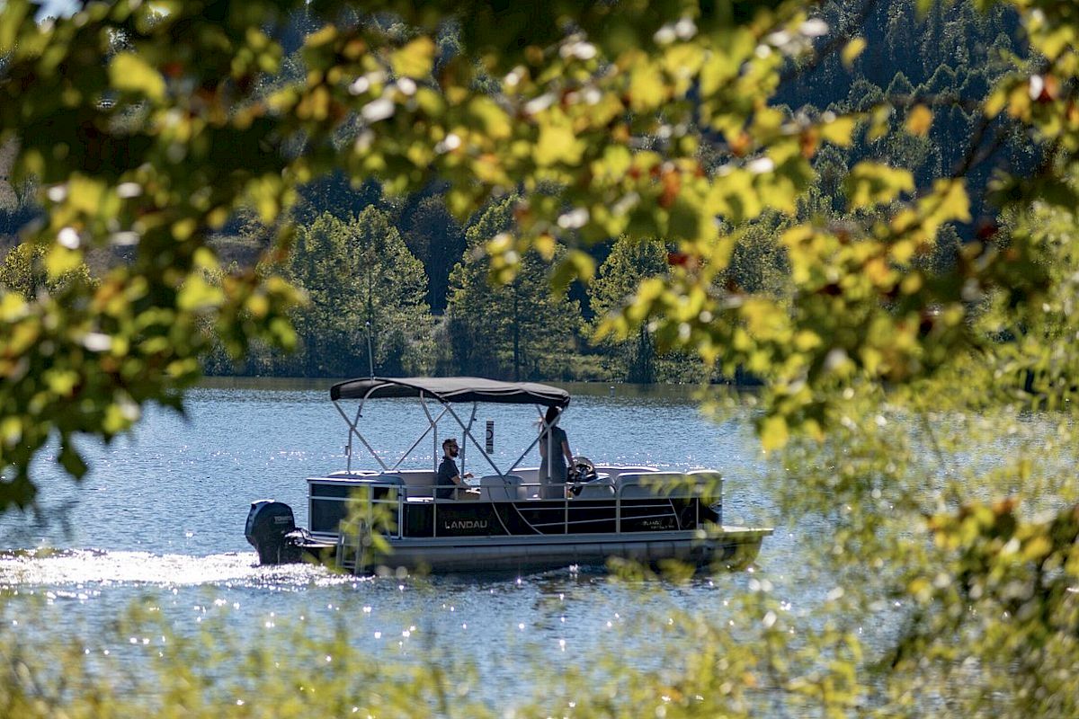 A boat with two people navigates through a lake, framed by green foliage in the foreground, with a forested background and sunlight reflecting on the water.